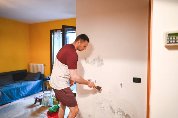Best Kitchen Mold Remediation in Harrisonville, MO